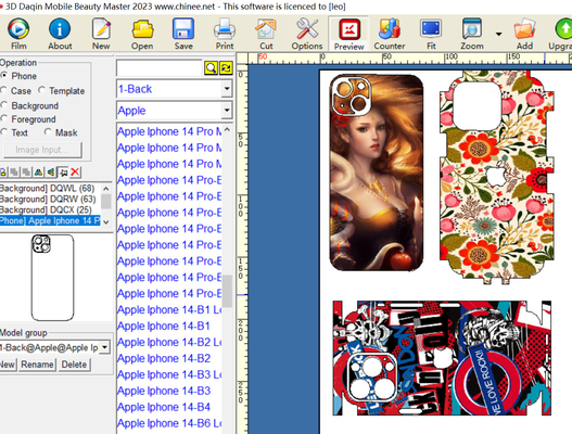 Daqin Laptop / Video Games Pc Software Kecantikan Disesuaikan Sticker