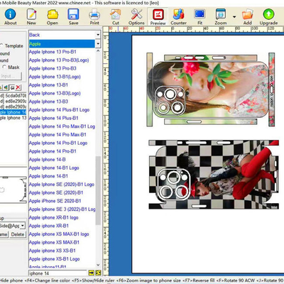 Daqin Custom CE Sticker Cutting Plotter Machine Software Pembuat Kulit